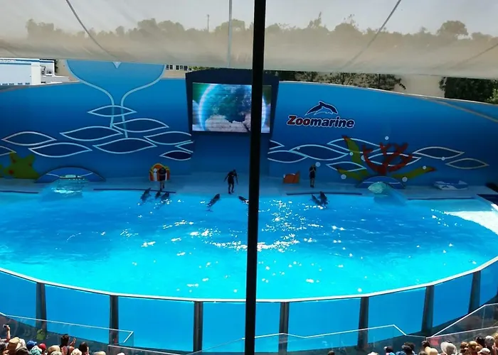 Falesia 알부페이라